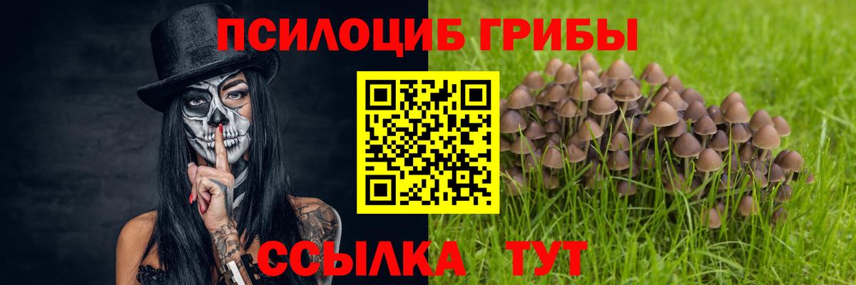 Псилоцибиновые грибы Cubensis Братск